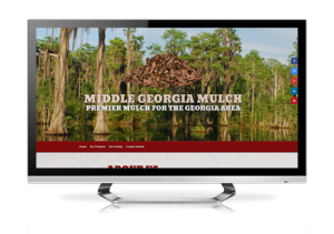 website design south georgia