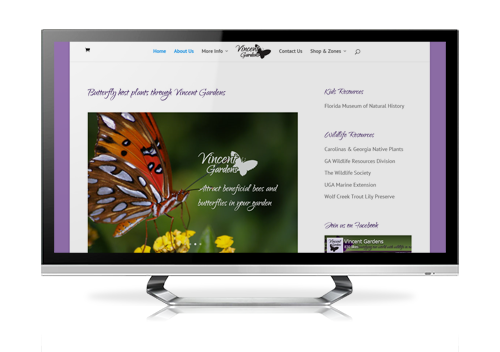 ecommerce website design Vincent Gardens